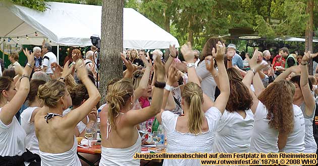 Rotweinfest Bacharach am Rhein in den Rheinwiesen